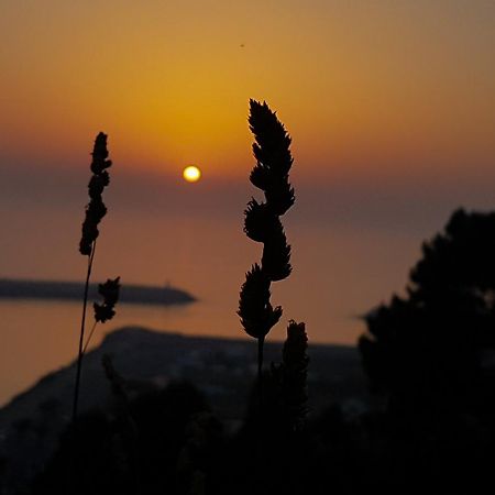 Your Nest In Nazare - Ocean View Villa Екстер'єр фото