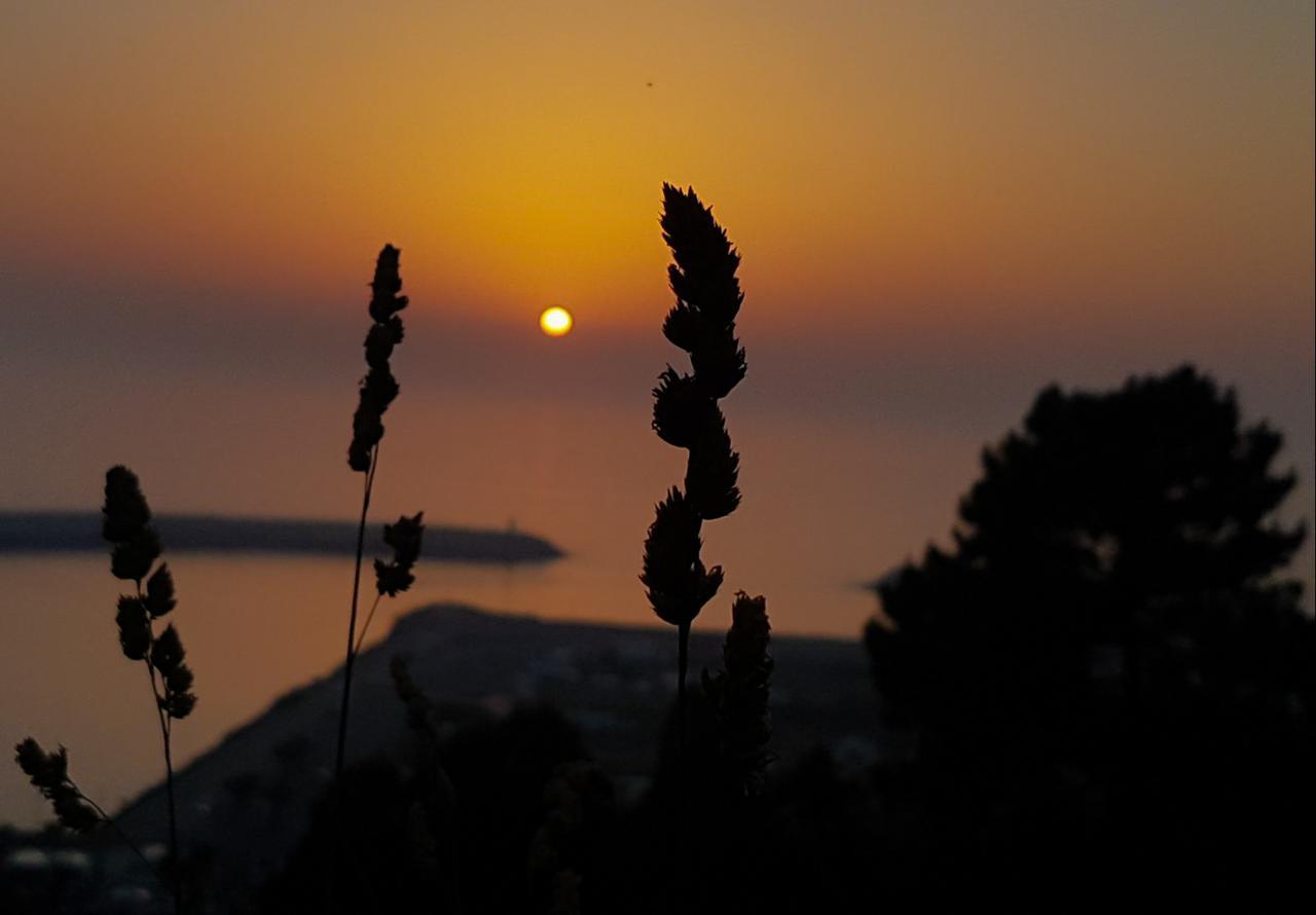 Your Nest In Nazare - Ocean View Villa Екстер'єр фото